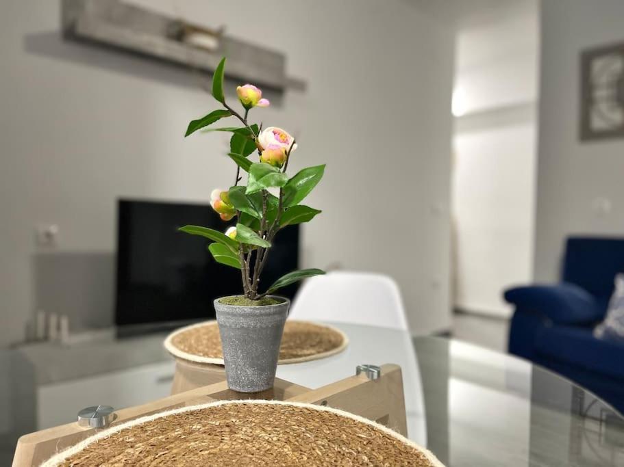 Apartamentos Rincon Andaluz 3 Córdoba Kültér fotó